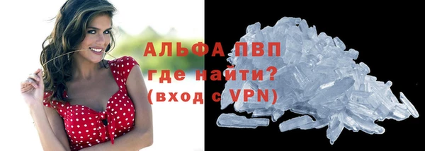 гидра Алексин