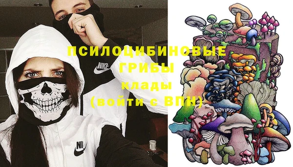 гидра Алексин