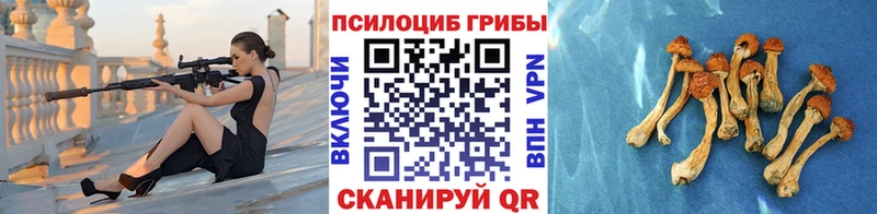 Псилоцибиновые грибы Magic Shrooms  KRAKEN зеркало  Тольятти  цена наркотик 