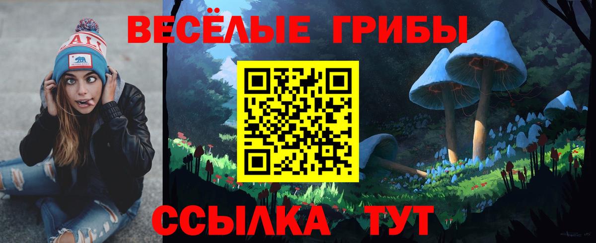 Галлюциногенные грибы GOLDEN TEACHER Тольятти